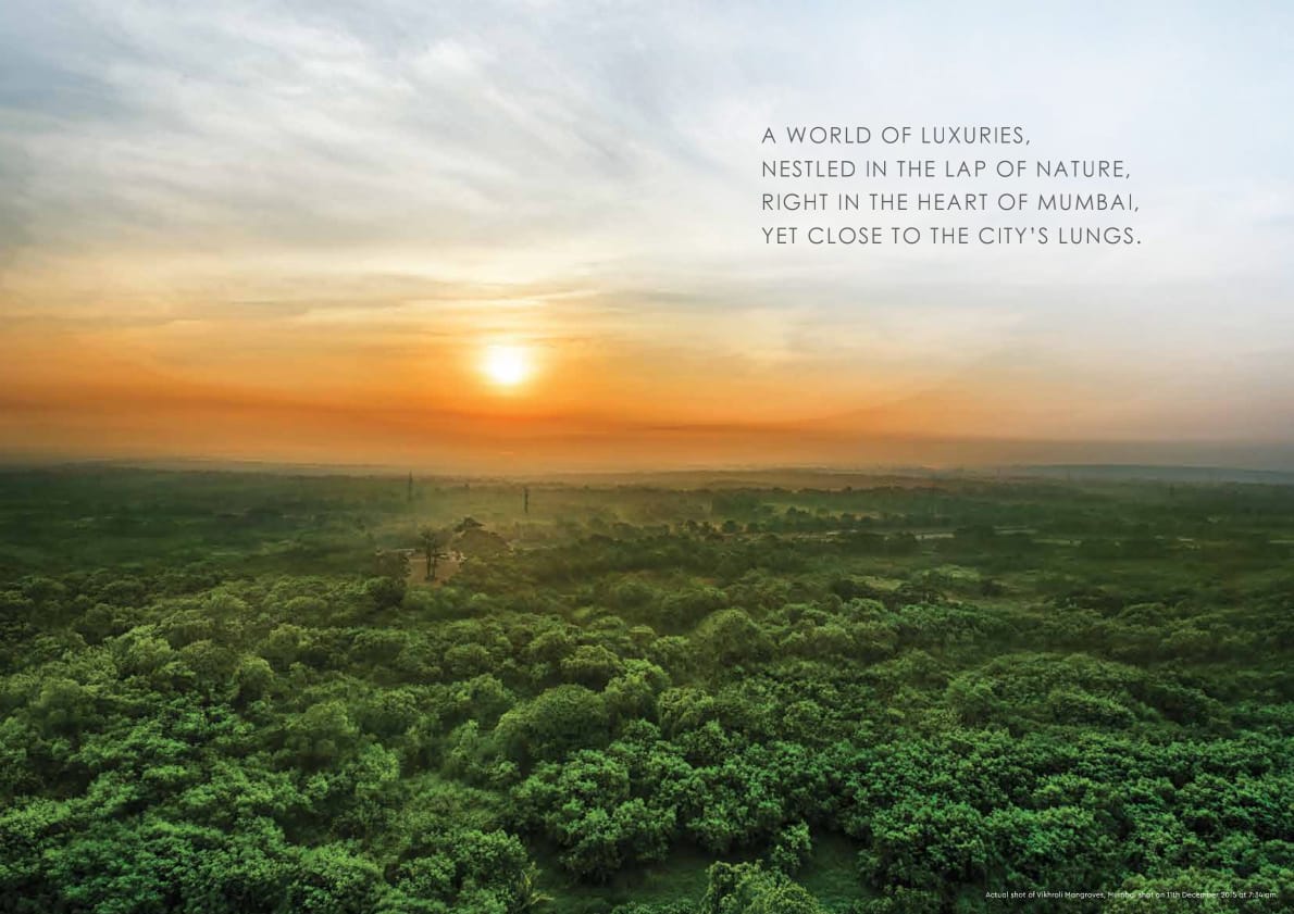 WhatsApp Image 2025-12-19 at 6.15.30 PM (1)