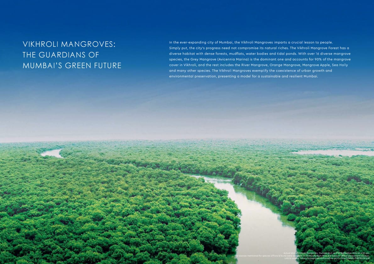 WhatsApp Image 2025-12-19 at 6.15.30 PM