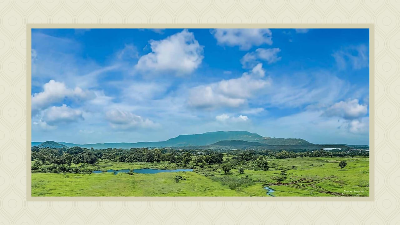 WhatsApp Image 2025-12-19 at 6.23.56 PM (1)